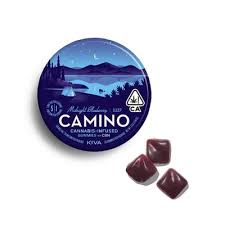 camino-midnight-blueberry-gummies-thc-cbn-sleep-edibles