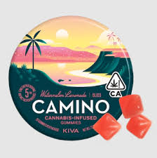 camino-watermelon-lemonade-gummies-5mg-thc-bliss