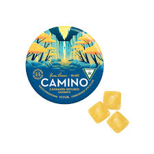 Camino Gummies 1